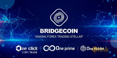 ICO BRIDGE Video