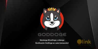 ICO GodDoge Video