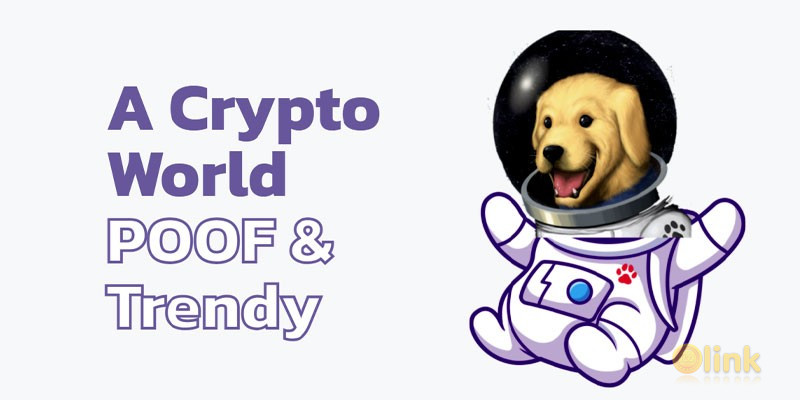 ICO Moon Puppy