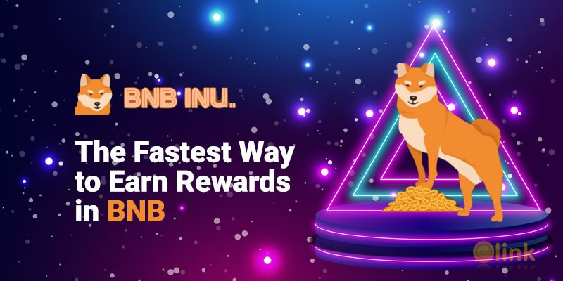 ICO BNB INU