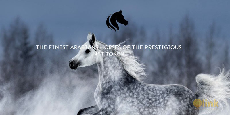 ICO Arab Horse