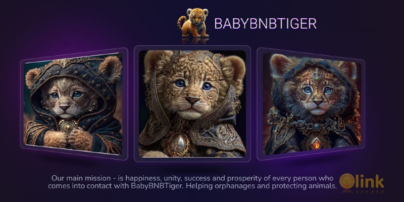 ICO BabyBNBTiger