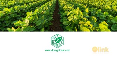 ICO DorganicAI Video