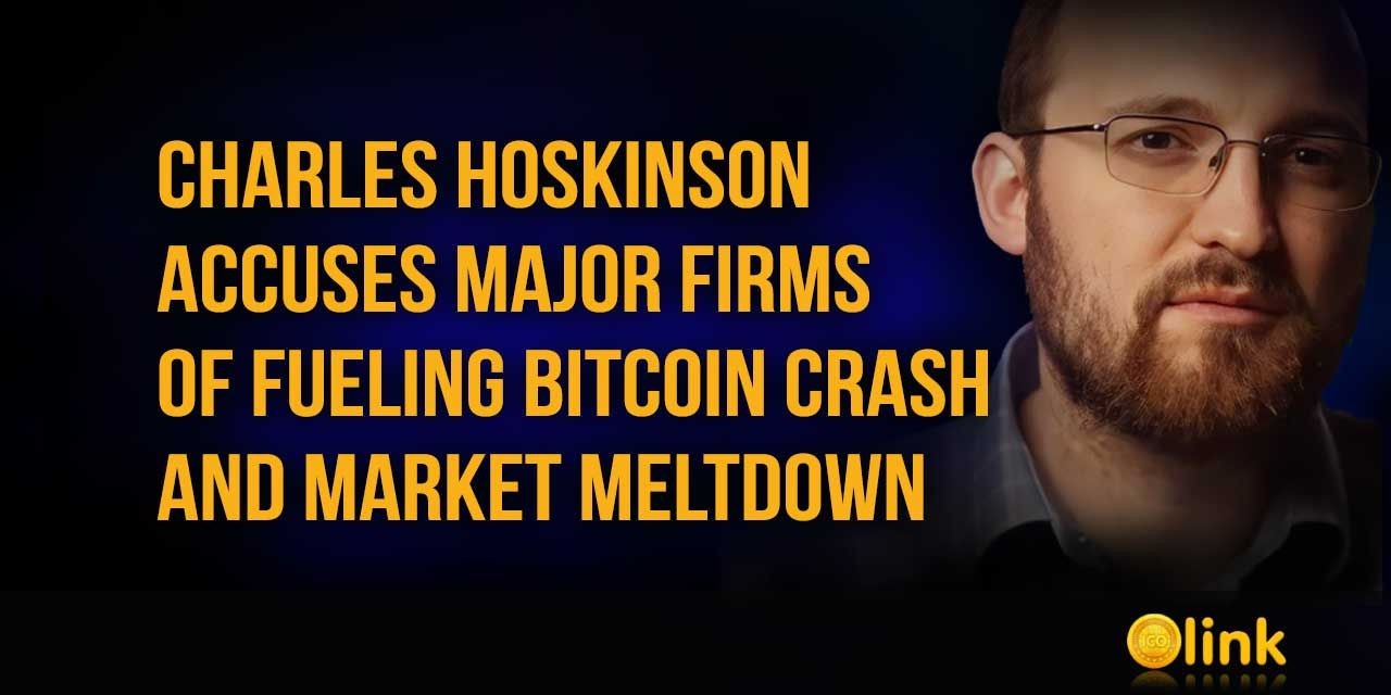 Charles-Hoskinson-Bitcoin-Crash