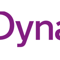 Dynamo Infotech