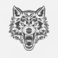 Дмитрий Марков